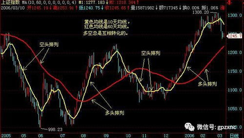 深度解析，探究000670股吧的市场魅力与投资价值