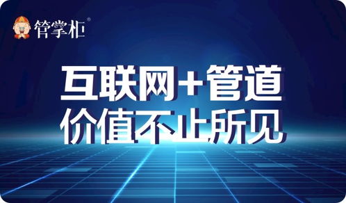 探索金通大阳网，互联网金融的创新力量与未来趋势