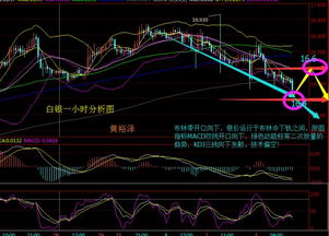 深度解析，纸白银实时行情走势图的全方位解读