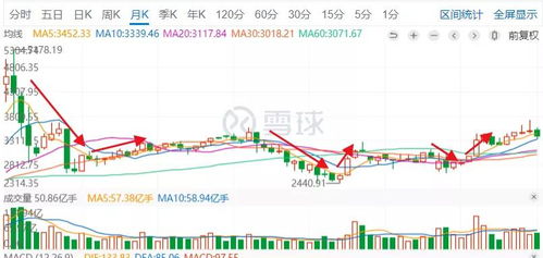 深度解析，基金定投手续费背后的经济逻辑与投资智慧