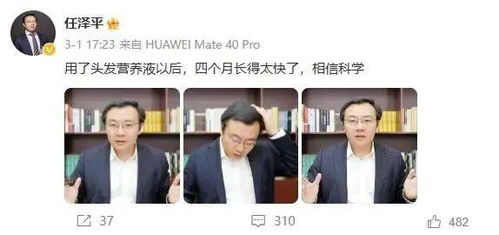 任泽平，倒车接人后再出发