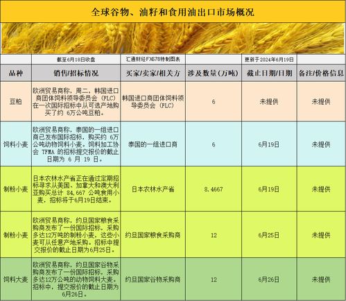 深度解析，600572股票的投资价值与市场动态分析