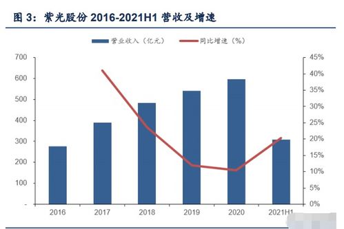 深度解析，紫光股份——信息技术领域的领军者与投资机遇