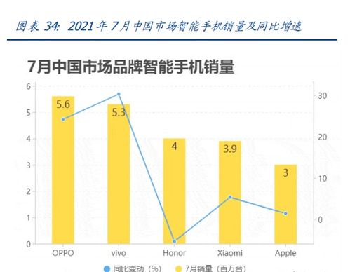 深度解析，股票分析论文的构建与应用策略