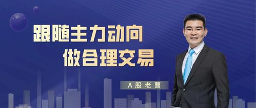 爱股轩廖英强，从投资者到教育者的崛起之路——探索中国股市的智慧与影响力