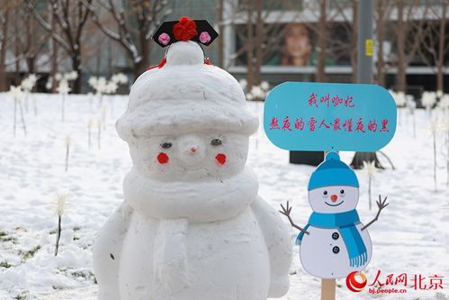 雪人股份，冬日里的金融雪人，成长与挑战的冰与火交融