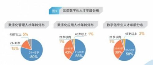 数字政通，数字化转型驱动的未来投资新星——深度解析与前景展望