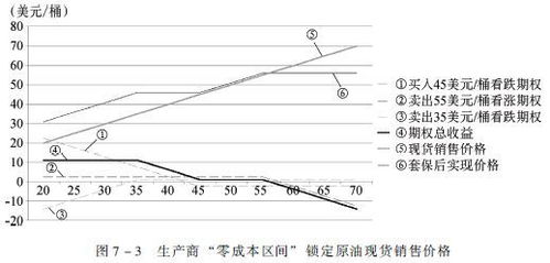 买入套期保值，风险管理的艺术与策略深度解析