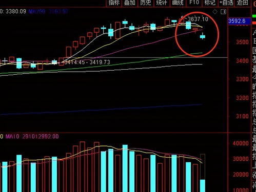 奇门遁甲与现代金融，探索股票预测的神秘力量