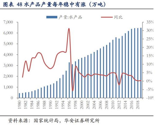 深度解析，壹桥苗业股票的崛起与未来展望