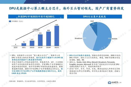 天茂集团，解读股吧中的投资风向标——深度剖析与未来展望