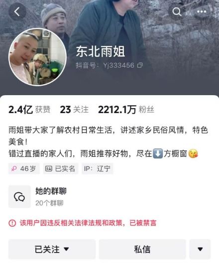 东北雨姐账号被禁言的背后原因与反思