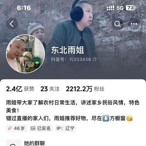 东北雨姐账号被禁言的背后原因与反思