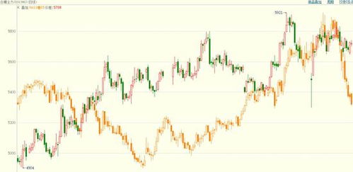 白糖价格行情的深度剖析，市场波动、供需影响与未来展望