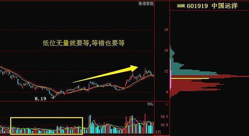 深度解析，002229股票的投资价值与市场趋势探析