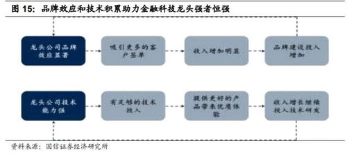 行权，金融术语的深度解析