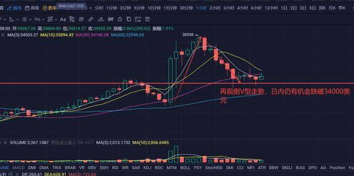 深度解析，比特币与美元的实时行情，市场波动与未来趋势探讨