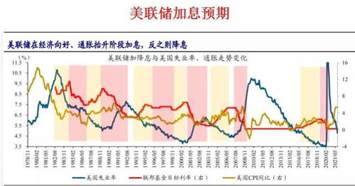 跌停后，投资者的卖出策略，时机与风险的考量