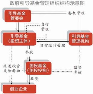 深度解析，基金162607，投资策略与未来展望