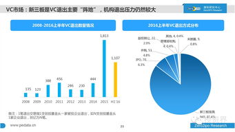 华塑控股，深度解析与投资前景展望