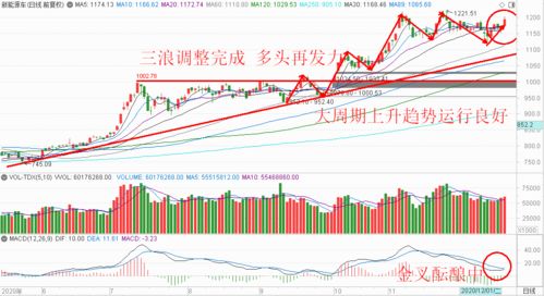 深度解析，国投中鲁——走进资本市场的砥柱与机遇