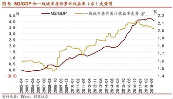 长期股票投资，稳健之道与未来财富蓝图