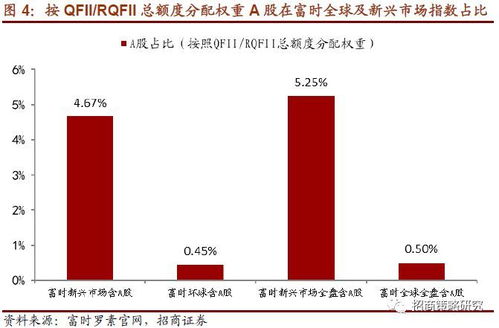 深度探索，股票投资论坛，投资者的智慧殿堂与知识绿洲