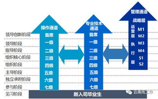 驰宏锌锗股吧，投资风向标与价值发现之地