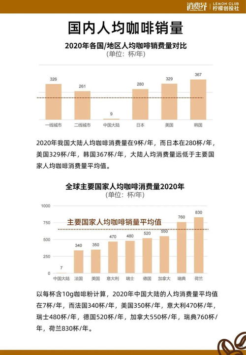 深度解析，壳资源概念股，机遇与挑战并存的市场焦点