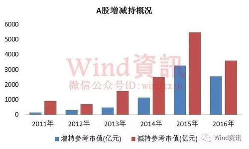 深度解析，新力控股的崛起与未来前景——探索股票投资的新机遇