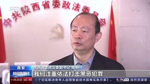 原公安副局长涉黑风波，封条下的秘密与权力之影