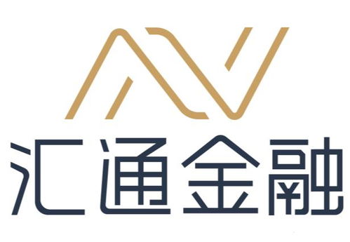 南方汇通股份有限公司，探索金融创新的南方明珠