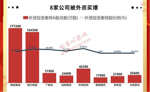 深度解析600295股票，投资价值与市场趋势探析