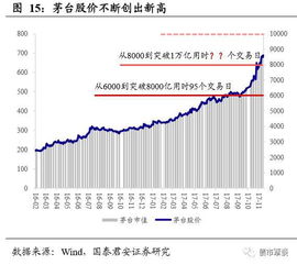 华资实业，探析其在股市中的崛起与机遇——一个股吧视角的深度解析