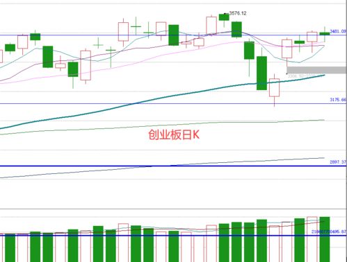 深度解析，什么是除权日——股票市场的关键概念