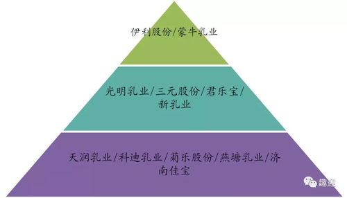 探索梦幻股票，深度解析与实战指南