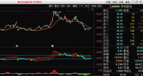 深度解析，300197股票——探寻未来投资价值的密码