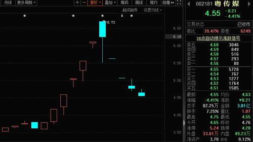 明日复牌股票一览，市场动态与投资策略解析