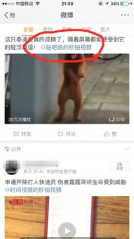 我的视频日记，我的名字与微视频