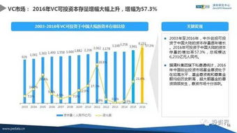 全面解析，B股——中国资本市场的重要一环