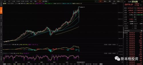 全面解析，B股——中国资本市场的重要一环