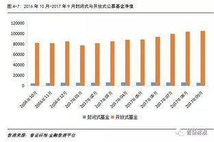 深度解析，000041基金净值波动背后的市场趋势与投资策略