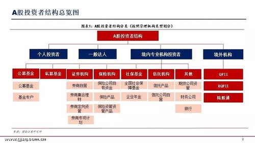 深度解析，东兴证券股吧——投资者的智慧港湾与投资决策指南