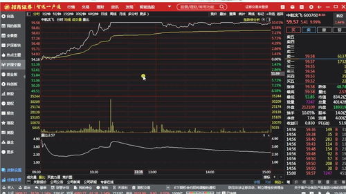 深度解析，000725股票的市场走势与投资策略