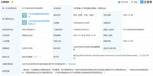 深度解析，基金净值查询与基金豆，投资理财的智能助手