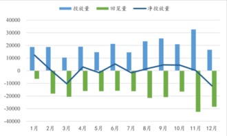 深度解析，601099股吧——投资者的导航灯塔与市场情绪晴雨表