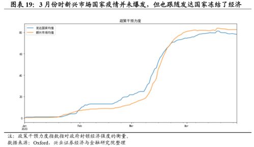 钢筋价格走势的深度剖析与未来展望——市场脉动下的经济晴雨表