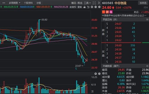 深度解析，王亚伟最新持股动向——市场风向标的新篇章