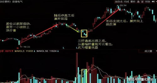 深度解析，600030——中国股市的稳健基石，一份全面的投资指南