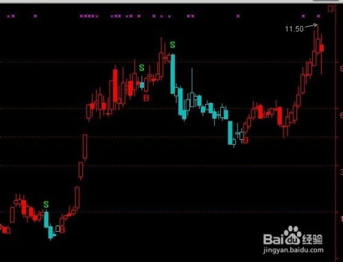 深度解析，600810股票投资攻略——从入门到精通